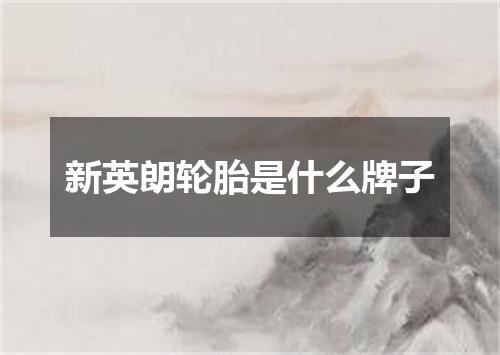 新英朗轮胎是什么牌子