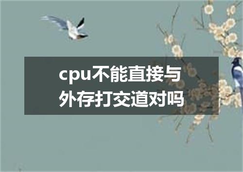 cpu不能直接与外存打交道对吗