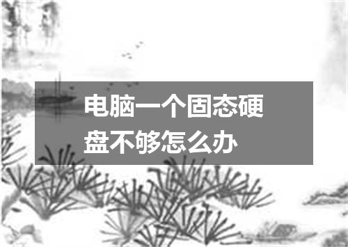 电脑一个固态硬盘不够怎么办