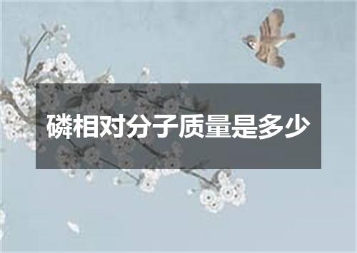 磷相对分子质量是多少