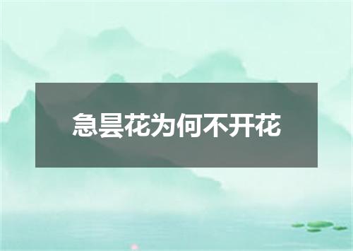 急昙花为何不开花