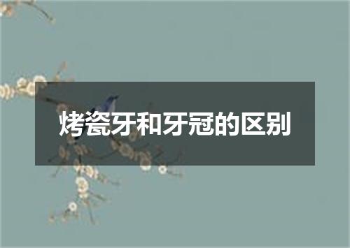 烤瓷牙和牙冠的区别