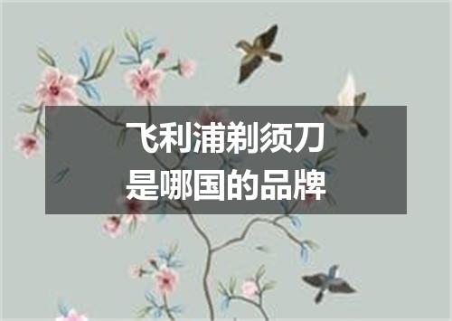 飞利浦剃须刀是哪国的品牌