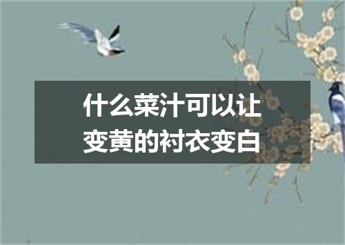 什么菜汁可以让变黄的衬衣变白