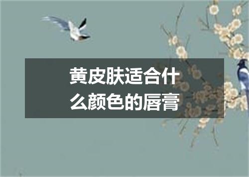 黄皮肤适合什么颜色的唇膏