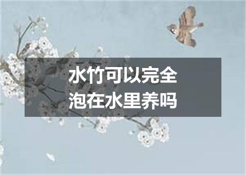 水竹可以完全泡在水里养吗
