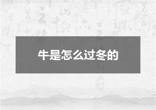 牛是怎么过冬的