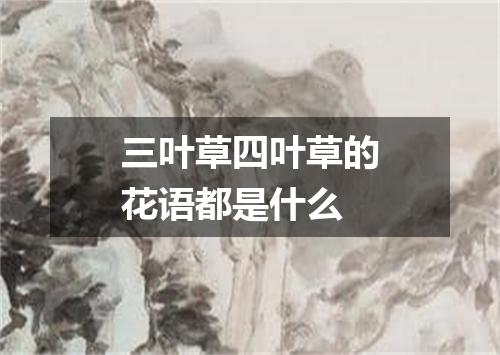 三叶草四叶草的花语都是什么