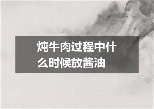 炖牛肉过程中什么时候放酱油