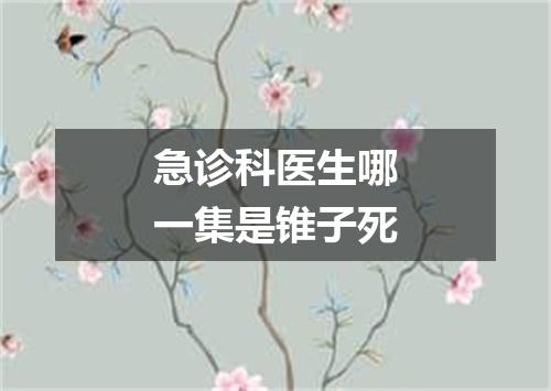 急诊科医生哪一集是锥子死