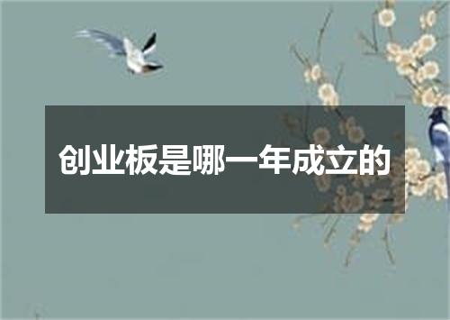 创业板是哪一年成立的