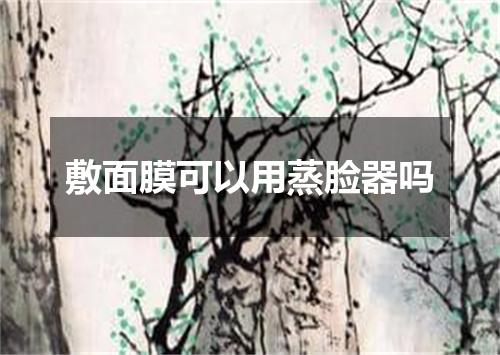 敷面膜可以用蒸脸器吗