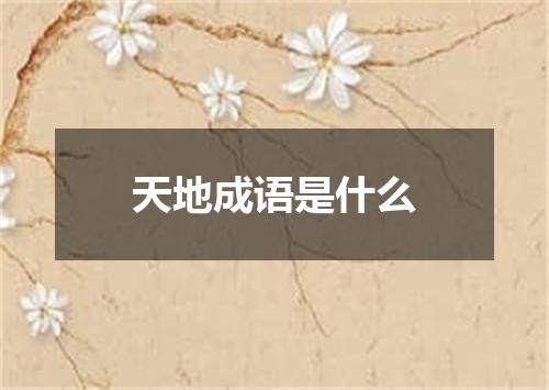 天地成语是什么