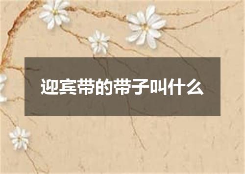 迎宾带的带子叫什么