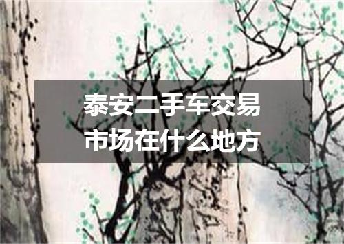 泰安二手车交易市场在什么地方