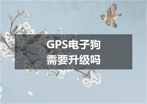 GPS电子狗需要升级吗