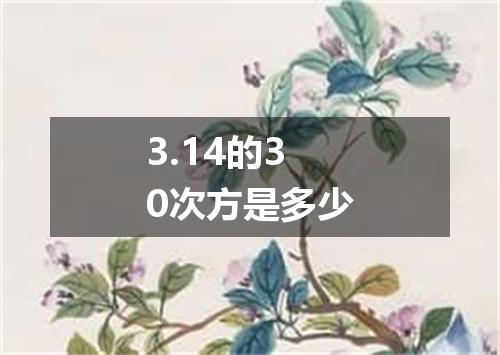 3.14的30次方是多少