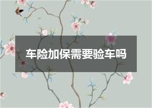 车险加保需要验车吗