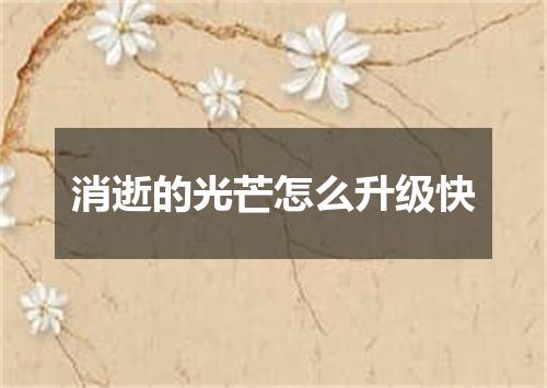 消逝的光芒怎么升级快