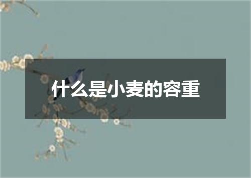 什么是小麦的容重