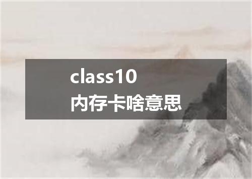 class10内存卡啥意思