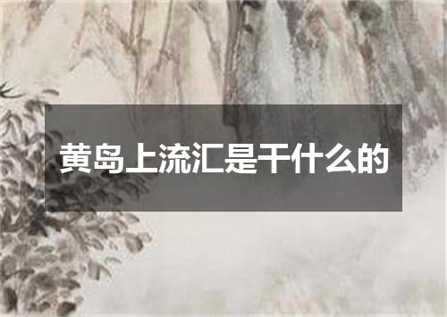 黄岛上流汇是干什么的