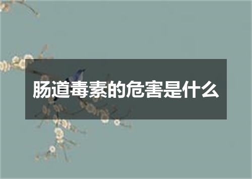 肠道毒素的危害是什么