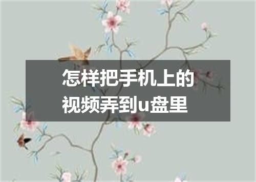 怎样把手机上的视频弄到u盘里