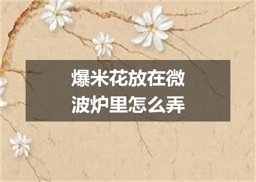 爆米花放在微波炉里怎么弄