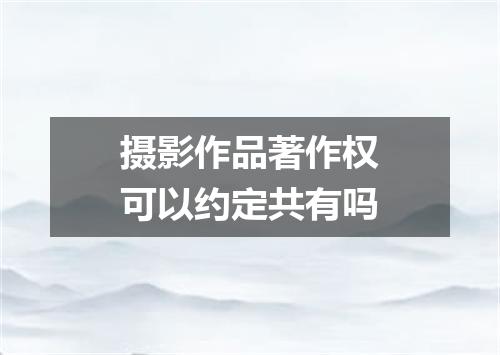 摄影作品著作权可以约定共有吗