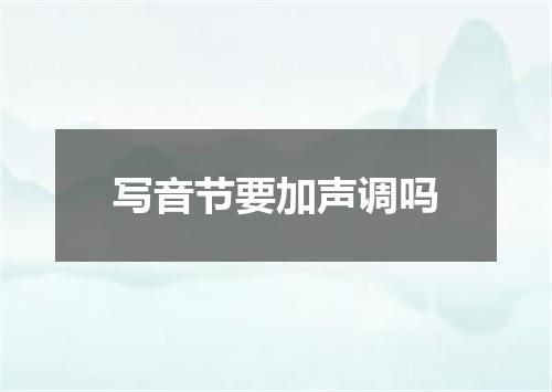 写音节要加声调吗