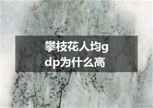 攀枝花人均gdp为什么高