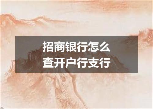 招商银行怎么查开户行支行