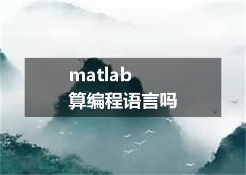 matlab算编程语言吗
