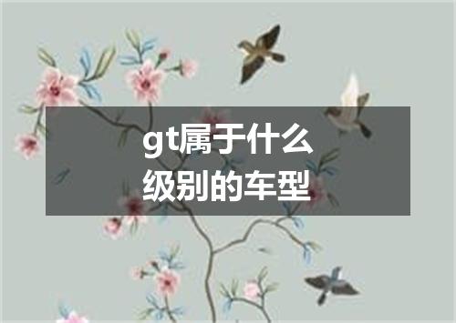 gt属于什么级别的车型