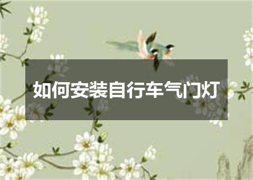 如何安装自行车气门灯