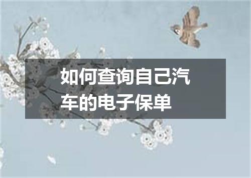如何查询自己汽车的电子保单