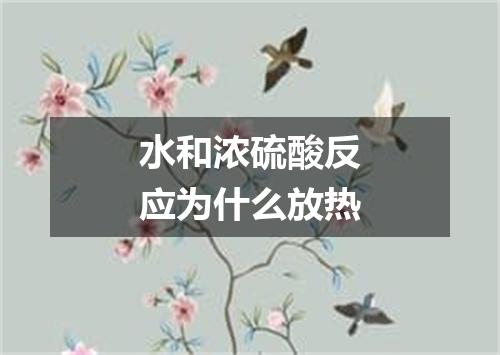 水和浓硫酸反应为什么放热