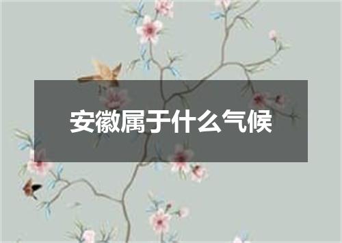 安徽属于什么气候