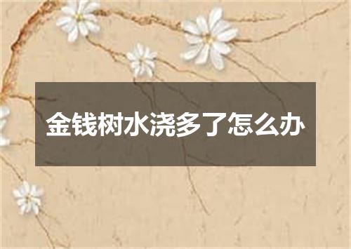 金钱树水浇多了怎么办