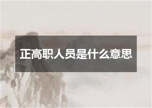 正高职人员是什么意思