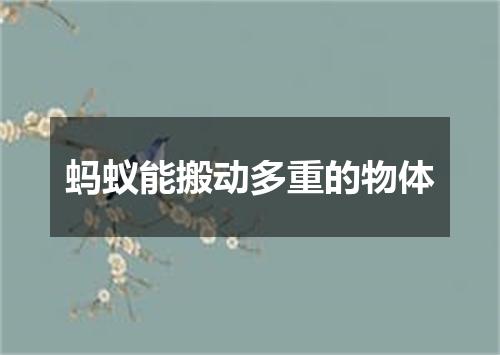 蚂蚁能搬动多重的物体