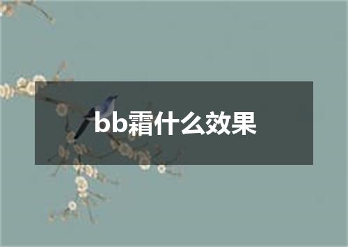 bb霜什么效果