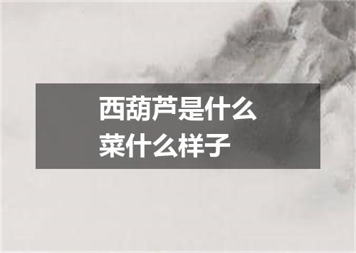 西葫芦是什么菜什么样子