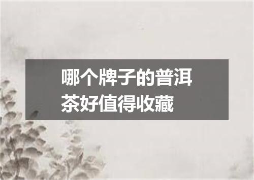 哪个牌子的普洱茶好值得收藏