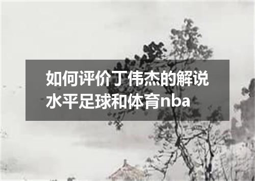 如何评价丁伟杰的解说水平足球和体育nba