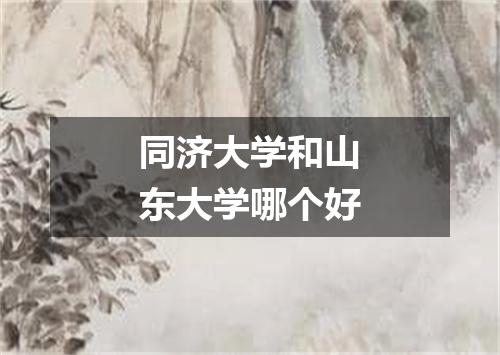 同济大学和山东大学哪个好