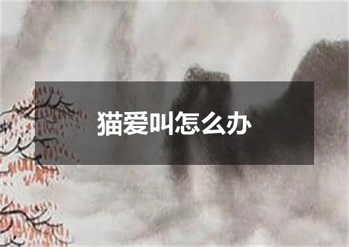 猫爱叫怎么办