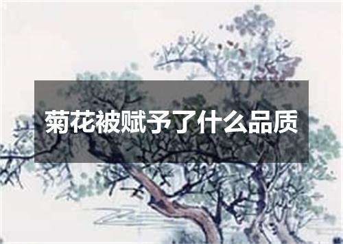 菊花被赋予了什么品质