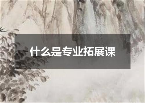 什么是专业拓展课